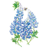 Botanical illustration of bluebonnet flowers showing tall spikes of blue-and-white pea-shaped blooms with palmate green leaves, a bumblebee hovering near the topmost blossoms, set against a plain white background.