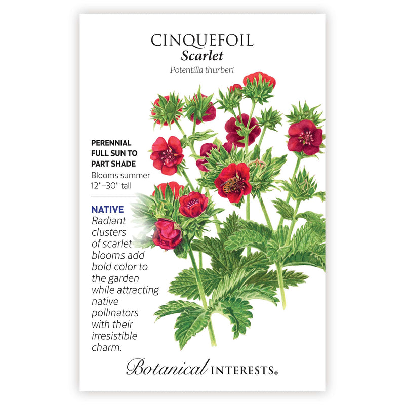 Scarlet Cinquefoil seed packet with botanical information and the illustration of the Scarlet Cinquefoil flower