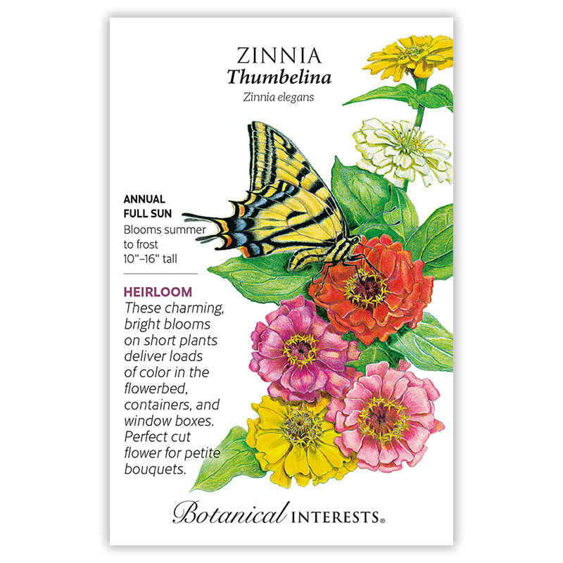 Front of a Botanical Interests seed packet for Thumbelina Zinnia Seeds featuring plant growing details and a colorful illustration of a yellow swallowtail butterfly resting on pink, red, and yellow zinnia blooms.