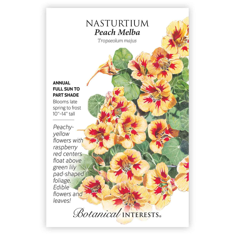 Seed packet for Peach Melba Nasturtium illustrated with peachy-yellow flowers featuring raspberry-red centers above round lily pad-shaped leaves, with printed text noting it's an annual for full sun to part shade, blooming late spring to frost, 10 to 14 inches tall, with edible flowers and leaves.