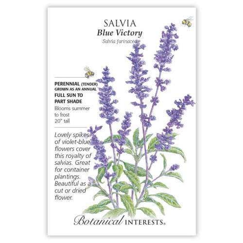 Seed packet for Blue Victory Salvia illustrated with tall violet-blue flower spikes and green foliage, with printed text noting it's a tender perennial grown as an annual, full sun to part shade, blooming summer to frost at 20 inches tall, suited to containers and cut or dried arrangements.