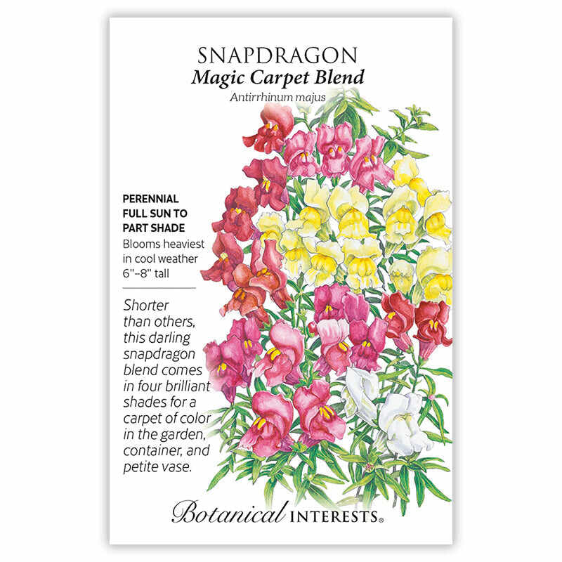 Seed packet for Magic Carpet Blend Snapdragon featuring an illustration of tall spikes of red, pink, yellow, and white snapdragon blooms, with text noting it's a perennial for full sun to part shade, growing 6-8 inches tall and blooming heaviest in cool weather.