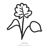 Black line drawing of Eastern Red Columbine seedling in a white background.