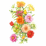 Illustration of double-bloom moss rose (Portulaca) flowers in a mixed cluster of orange, yellow, pink, red, and white ruffled blossoms with slender green needle-like foliage, set against a plain white background.