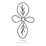 Black line drawing of Bronze Queen Nicotiana seedling on a white background