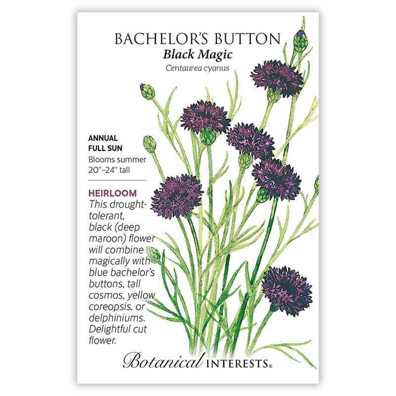 Seed packet for Bachelor's Button Black Magic with botanical illustration and  growing information..