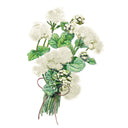Illustration of bouquet of white Dondo White Ageratum flowers with green leaves on a white background