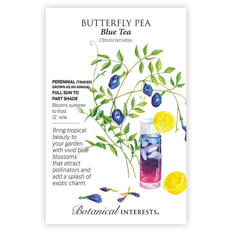 Seed packet for Butterfly Pea Blue Tea with indigo flowers and growing information.