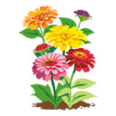 Colorful illustration of Dahlia Flowered Mix Zinnia flowers with green leaves on a white background