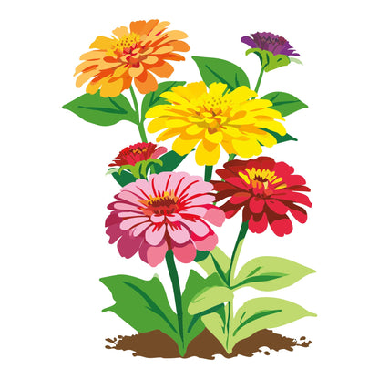 Colorful illustration of Dahlia Flowered Mix Zinnia flowers with green leaves on a white background