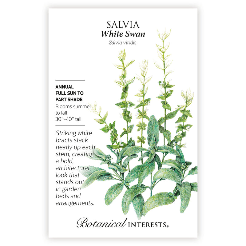 Salvia White Swan seed packet with botanical information on a white background