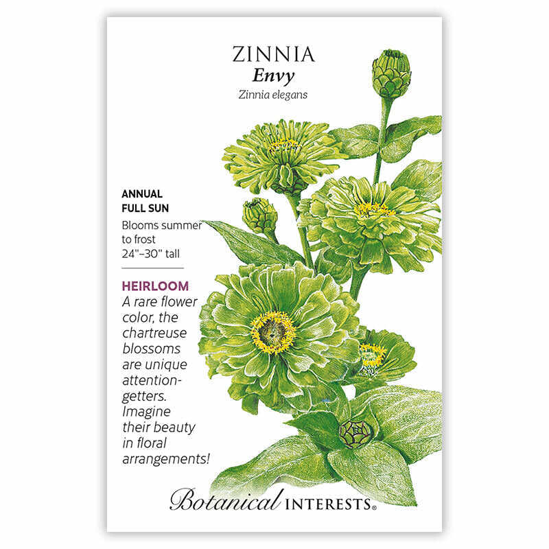 Seed packet for Zinnia Envy with botanical illustration and growing information.