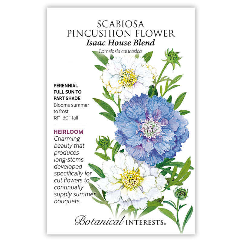Seed packet for Isaac House Blend Scabiosa Pincushion Flower featuring a watercolor illustration of frilly white and lavender-blue blooms with pincushion-like yellow centers on green stems, alongside text noting it's a heirloom perennial for full sun to part shade, blooming summer to frost, 18-30 inches tall, bred for long-stemmed cut flowers.