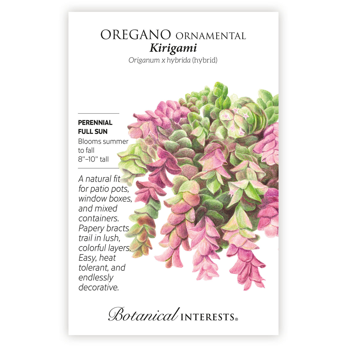 Oregano ornamental Kirigami seed packet with botanical details on a white background
