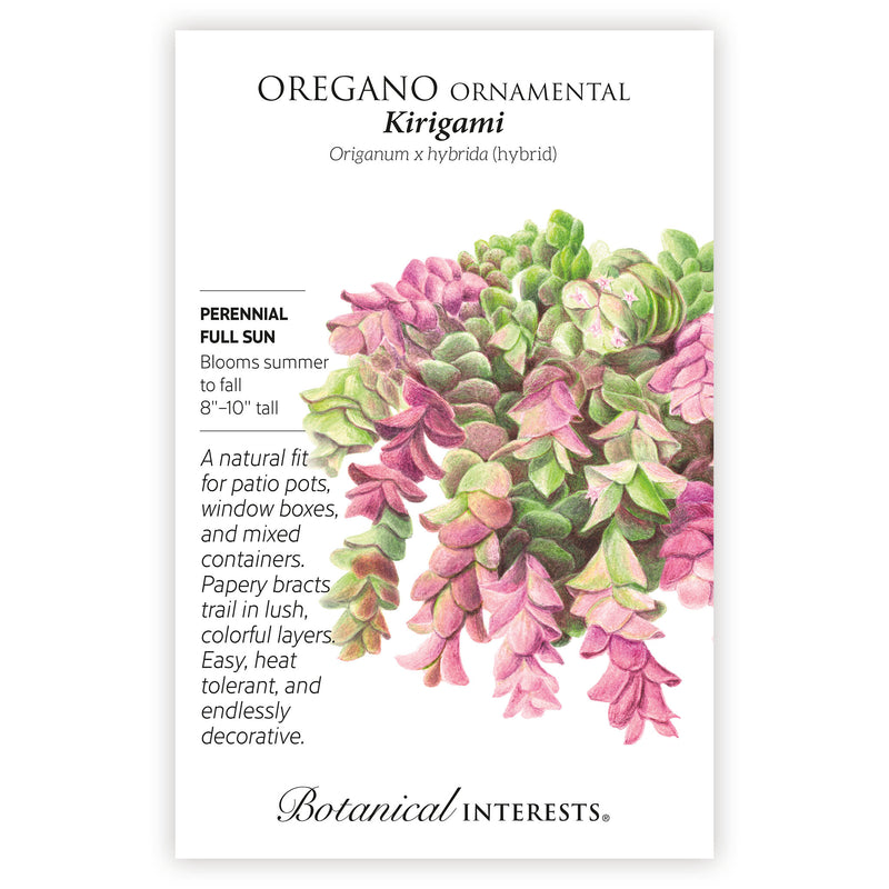 Oregano ornamental Kirigami seed packet with botanical details on a white background