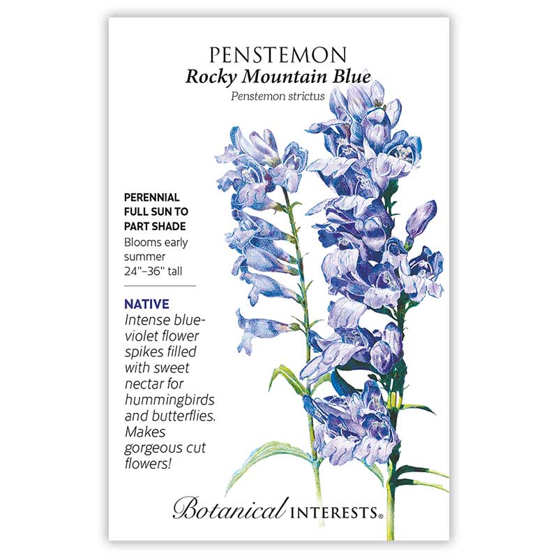 Seed packet for Penstemon Rocky Mountain Blue featuring an illustration of tall spikes densely packed with tubular blue-violet flowers, with printed text noting it's a native perennial for full sun to part shade, blooming early summer at 24–36 inches tall and attracting hummingbirds and butterflies.