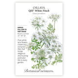 Orlaya QIS White Finch botanical seed packet with plant illustration and botanical information.