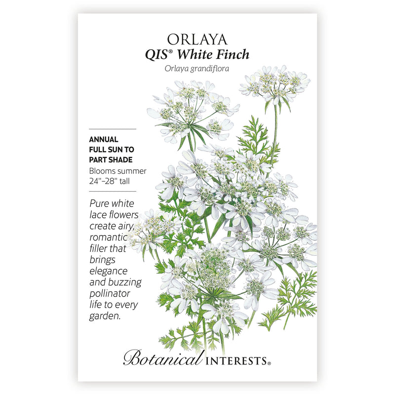 Orlaya QIS White Finch botanical seed packet with plant illustration and botanical information.
