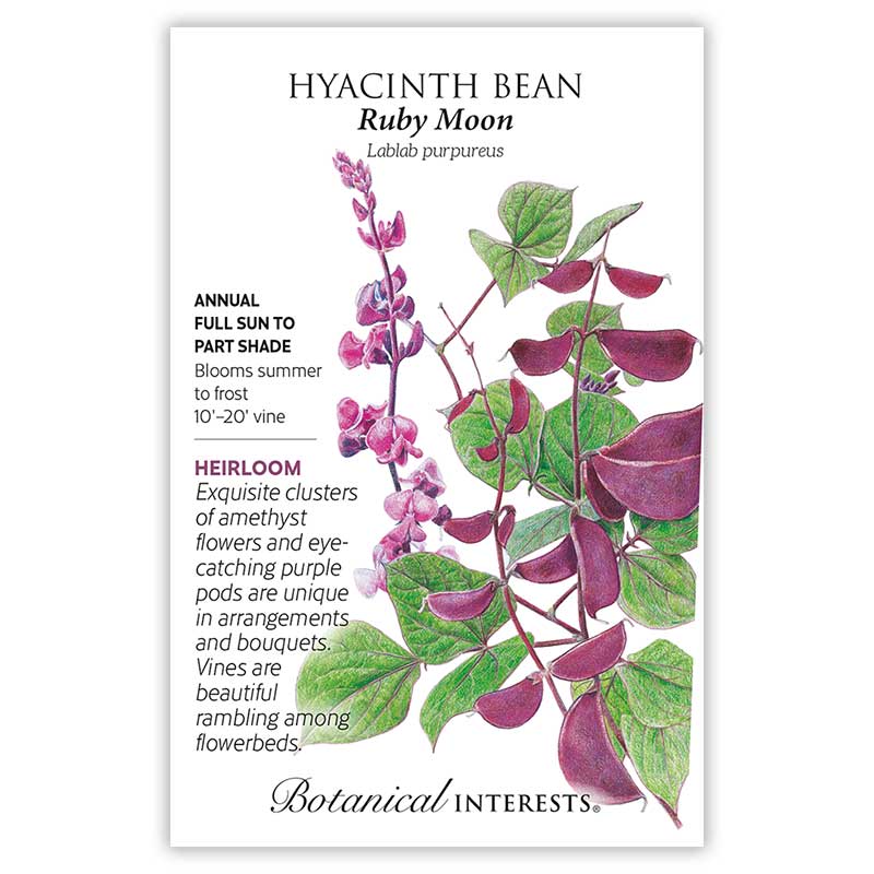 Seed packet for Ruby Moon Hyacinth Bean featuring a botanical illustration of a climbing vine with amethyst flower clusters and glossy deep purple bean pods among green leaves, alongside printed text noting it's an heirloom annual for full sun to part shade, blooming summer to frost as a 10-20 foot vine.