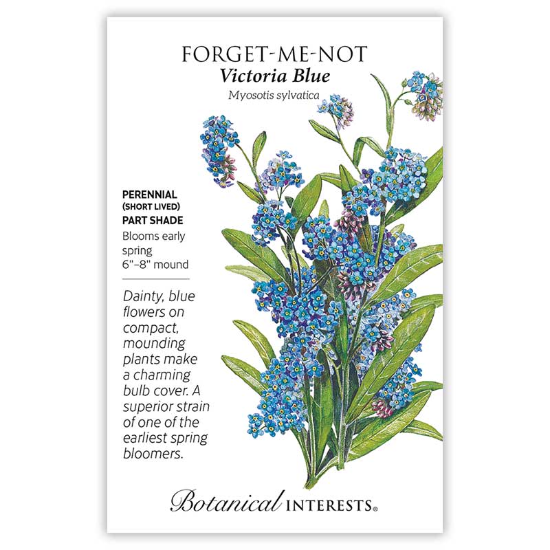 Botanical Interests seed packet for Victoria Blue Forget-Me-Not, illustrated with clusters of small blue flowers with yellow centres on green stems, and text noting it's a short-lived, part-shade perennial that blooms early spring as a 6–8 inch mound, ideal for covering bulb beds.