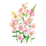 Illustration of pink DoubleShot™ Appleblossom Snapdragon flowers with green leaves on a white background