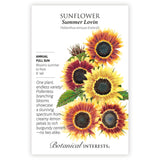 Summer Lovin Sunflower seed packet with illustrations and botanical information on a white background