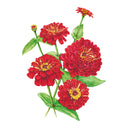 Illustration of red Meteor Zinnia  flowers with green leaves on a white background