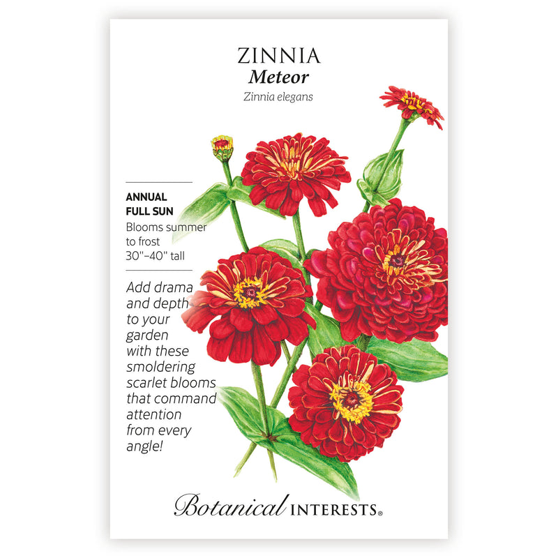 Zinnia Meteor seed packet with red flowers and botanical details on a white background