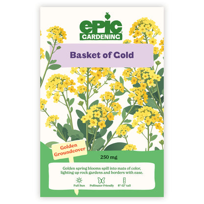 Epic Gardening Basket of Gold seed packet with yellow flowers and green leaves on a white background