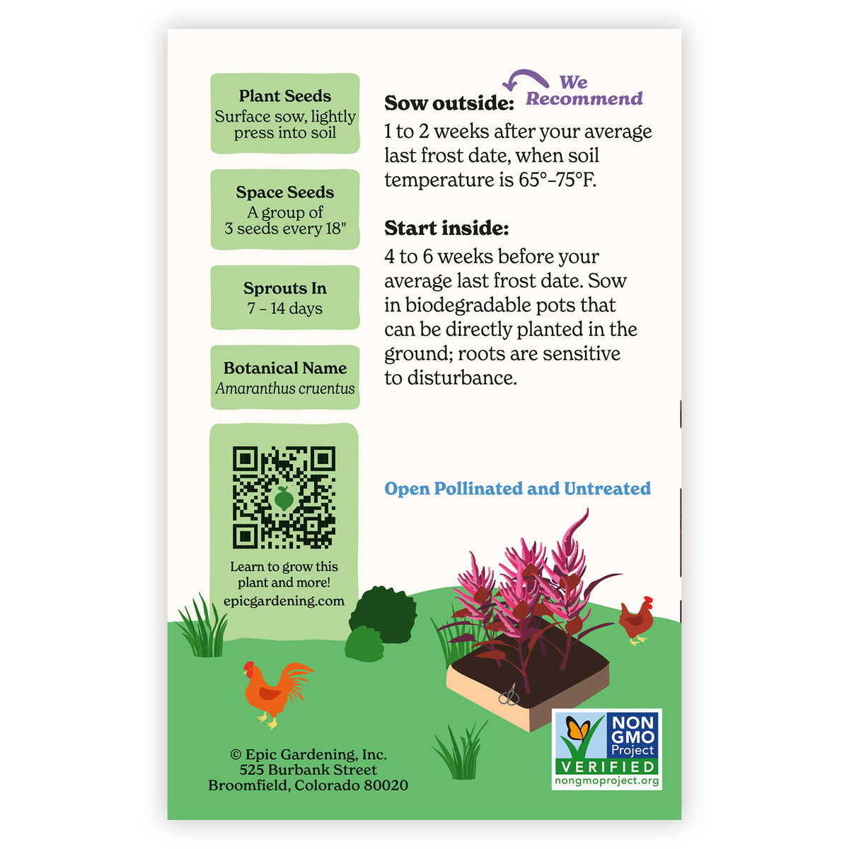 Red Spike Amaranth seed packet with growing instructions and plant illustration on a white background