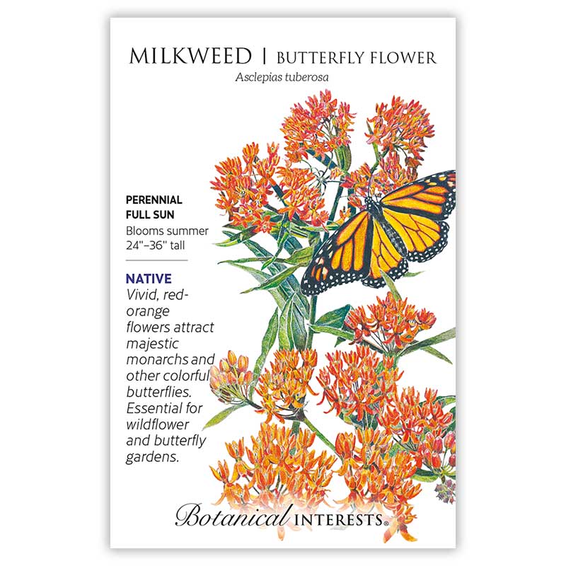 Seed packet for Milkweed Butterfly Flower (Asclepias tuberosa) featuring an illustration of clustered red-orange flowers with a monarch butterfly perched on the stem, alongside text noting it's a native full-sun perennial, 24–36 inches tall, blooming summer, and attractive to monarchs and other butterflies.