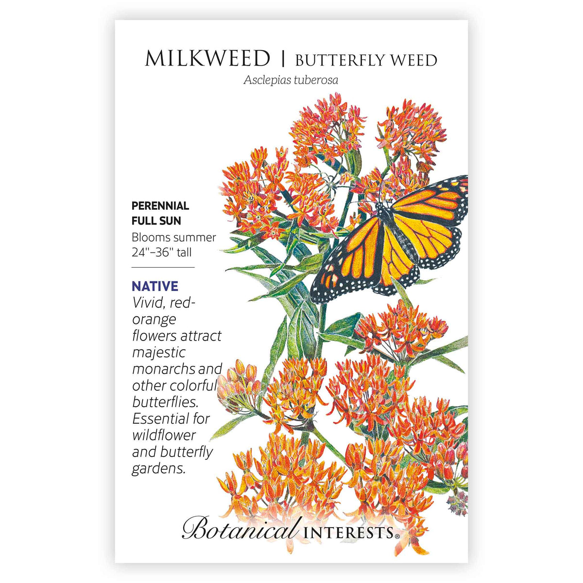 Botanical Interests seed packet for Milkweed/Butterfly Weed, illustrated with clusters of vivid red-orange flowers and a monarch butterfly, alongside text noting it's a native perennial for full sun that blooms summer at 24 to 36 inches tall and attracts butterflies.