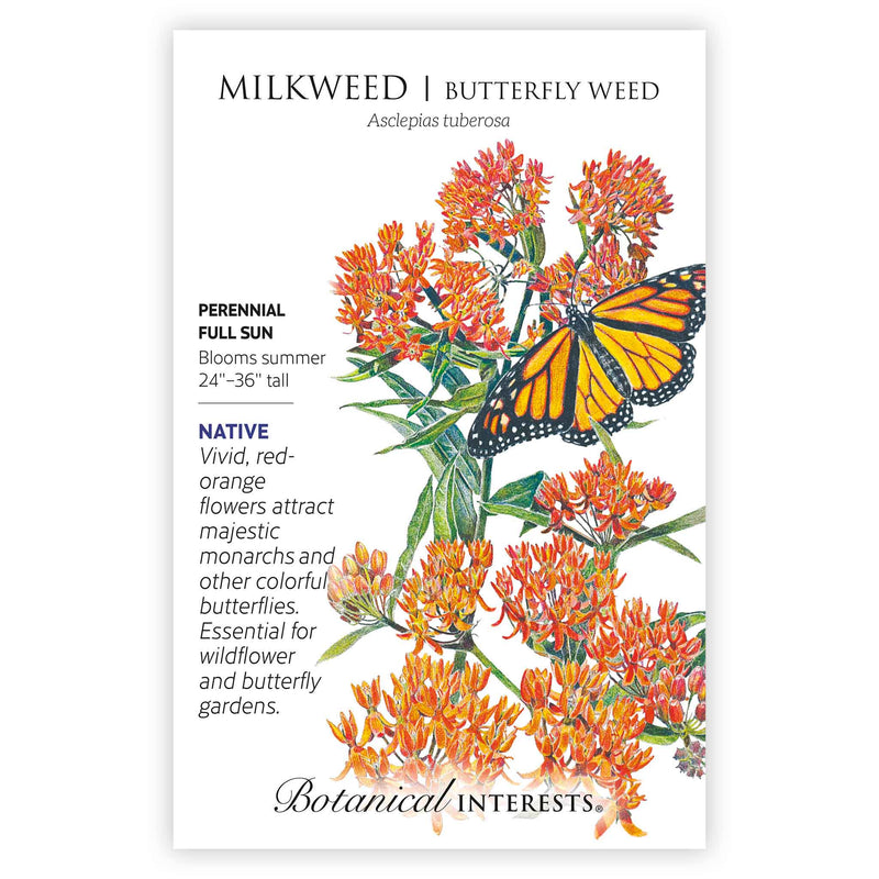 Botanical Interests seed packet for Milkweed/Butterfly Weed, illustrated with clusters of vivid red-orange flowers and a monarch butterfly, alongside text noting it's a native perennial for full sun that blooms summer at 24 to 36 inches tall and attracts butterflies.
