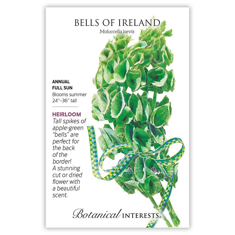Botanical Interests seed packet for Bells of Ireland (Moluccella laevis) featuring an illustration of tall spikes with layered apple-green bell-shaped calyxes tied with a checkered ribbon, alongside text noting it's a heirloom annual for full sun, 24"–36" tall, blooming summer, prized as a cut or dried flower.