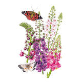 Botanical illustration of Shades of Summer mullein, showing tall flower spikes in pink, purple, magenta and cream, accompanied by two colourful butterflies, set against a plain white background.