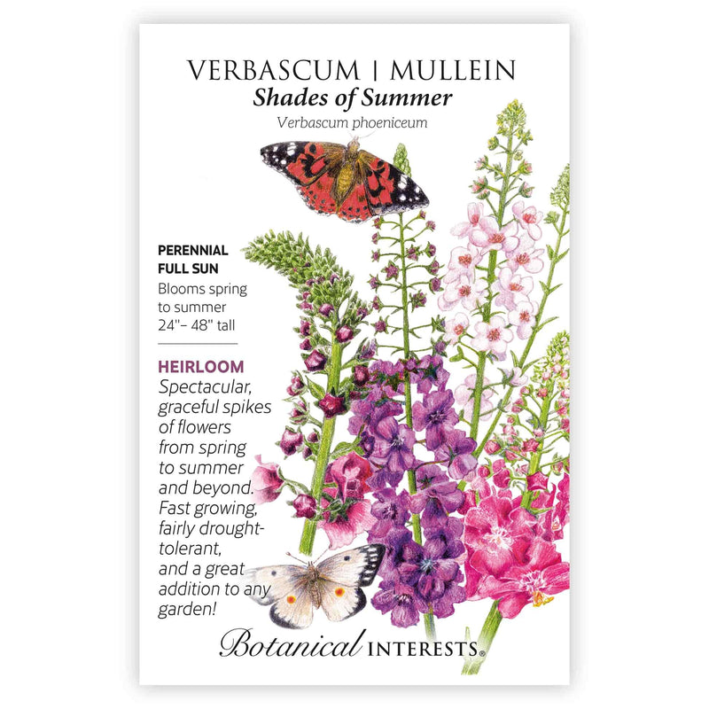 Seed packet for Shades of Summer Verbascum (Mullein) featuring an illustration of tall flower spikes in pink, purple, and magenta with two butterflies perched among the blooms, alongside text noting it's a heirloom perennial for full sun, blooming spring to summer, growing 24 to 48 inches tall.