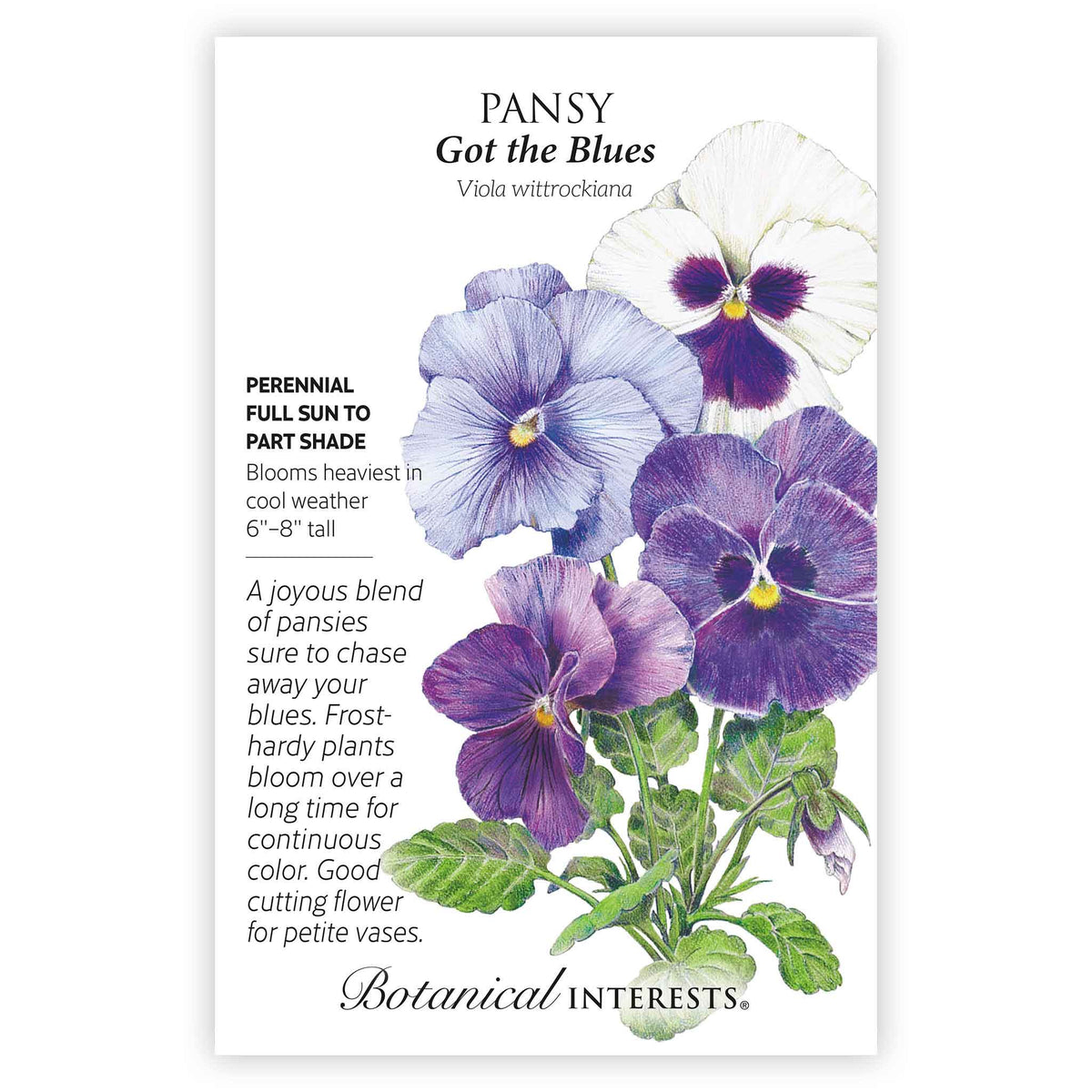 Seed packet for Got the Blues Pansy featuring a detailed illustration of blue, white, and purple pansy blooms with dark centers, alongside printed text noting it's a perennial for full sun to part shade, 6–8 inches tall, blooming heaviest in cool weather.