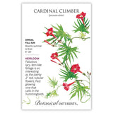 Botanical Interests Cardinal Climber seed packet featuring an illustration of red tubular flowers with lacy, fern-like green foliage on a twining vine, alongside text noting it's a heirloom annual for full sun, blooming summer to frost, growing 6 to 20 feet tall and attracting hummingbirds.