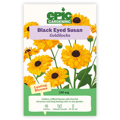 Epic Gardening Black Eyed Susan Goldilocks seed packet with yellow flowers on a white background