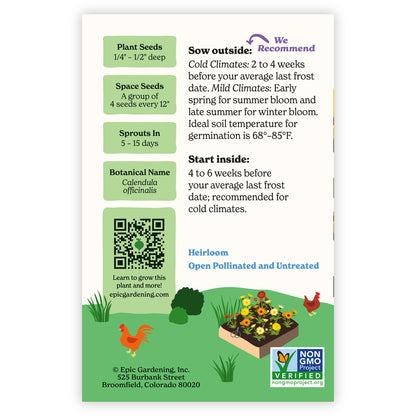 Fiesta Calendula Gitana seed packet with plant care instructions and QR code on a white background