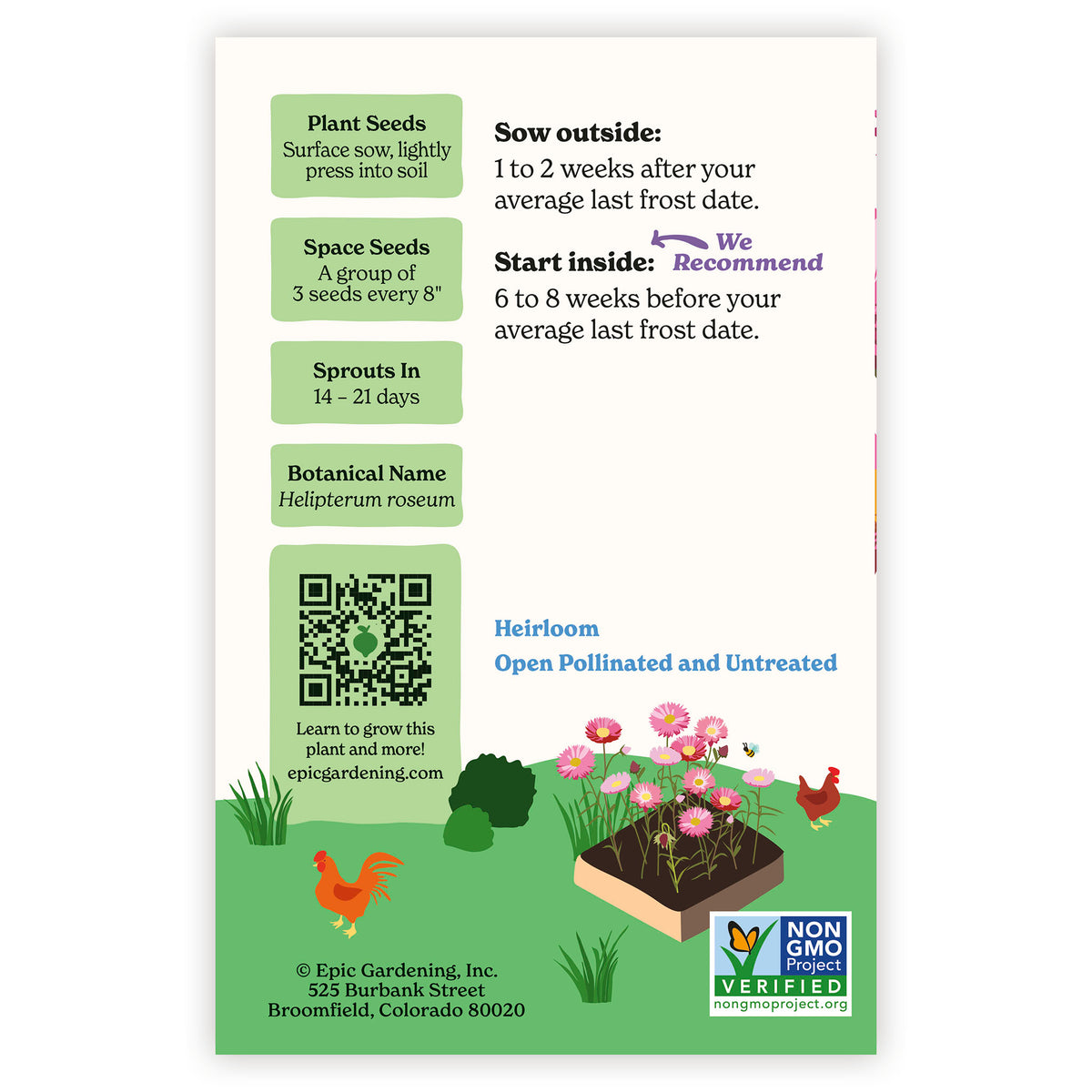 Paper Daisy seed packet with gardening instructions and QR code on a white background