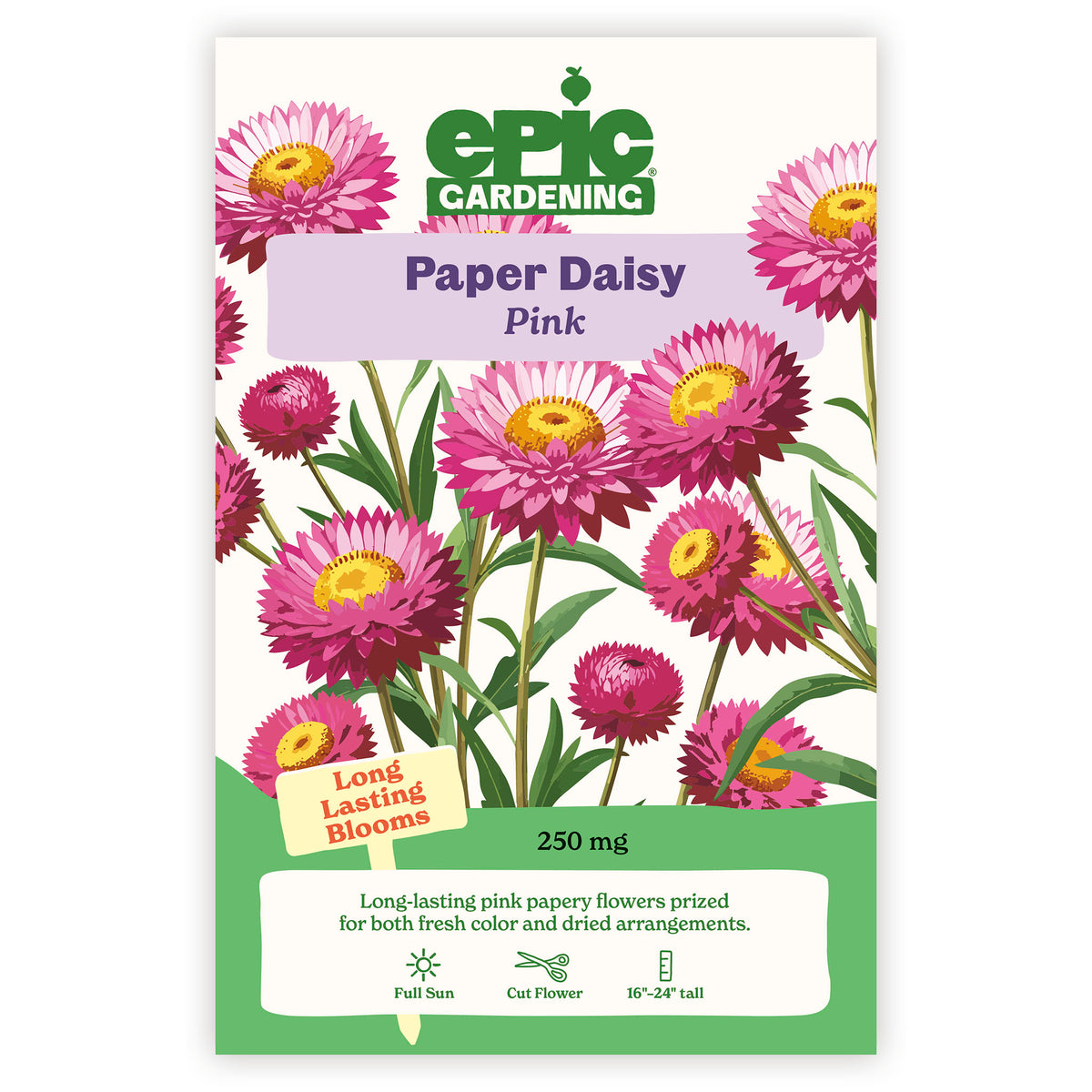 Epic Gardening Paper Daisy Pink seed packet with illustrations of pink flowers on a white background