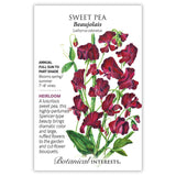Seed packet for Beaujolais Sweet Pea featuring a botanical illustration of deep burgundy, ruffled Spencer-type blooms on climbing vines with green leaves; text notes it's a heirloom annual for full sun to part shade, blooming spring/summer on 7'–8' vines.