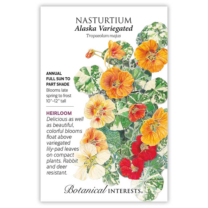 Seed packet for Alaska Variegated Nasturtium featuring an illustration of orange, yellow, and red blooms above green-and-white mottled lily-pad leaves, with text noting it's a heirloom annual, full sun to part shade, 10–12 inches tall, blooming late spring to frost, and resistant to rabbits and deer.