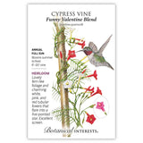 Seed packet for Funny Valentine Blend Cypress Vine featuring an illustration of a hummingbird feeding from star-shaped white, pink, and red tubular flowers with fern-like foliage climbing a wooden stake, alongside text noting it's an heirloom annual vine for full sun, blooming summer to frost, growing 6 to 20 feet.