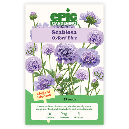 Scabiosa Oxford Blue seed packet with floral design on a white background