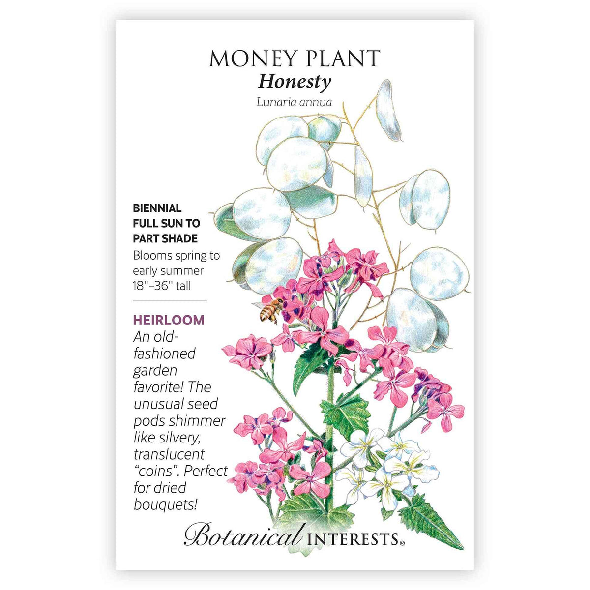 Seed packet for Honesty Money Plant illustrating pink and white flower clusters with a visiting bee, plus round silvery translucent seed pods, alongside text describing it as a biennial for full sun to part shade, blooming spring to early summer, 18–36 inches tall.