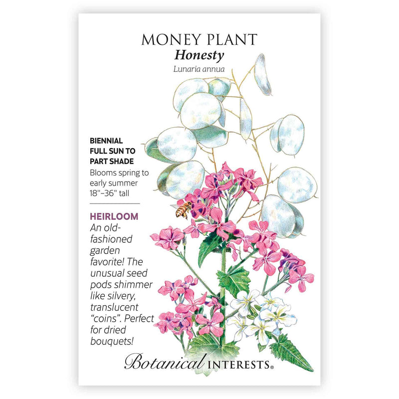 Seed packet for Honesty Money Plant illustrating pink and white flower clusters with a visiting bee, plus round silvery translucent seed pods, alongside text describing it as a biennial for full sun to part shade, blooming spring to early summer, 18–36 inches tall.