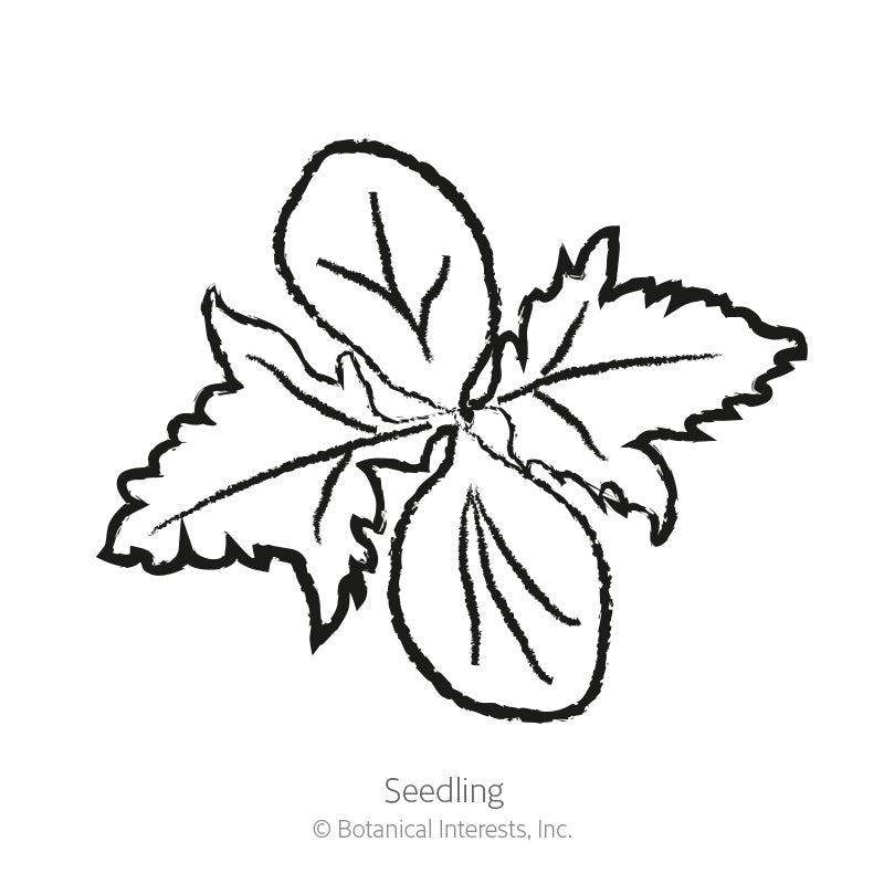 Line drawing labeled 