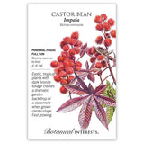 Seed packet illustration of Castor Bean Impala showing clusters of spiky red seed pods and star-shaped bronze-red leaves, with text noting it's a tender perennial for full sun, blooming summer to frost and growing 4 to 6 feet tall.